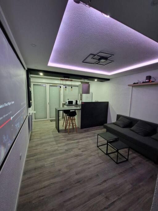 Logement Atypique & Parking Gratuit Gex Eksteriør billede